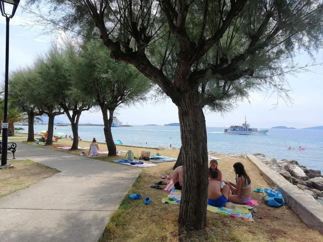 Apartments Frano I Franka By The Sea オレビック エクステリア 写真